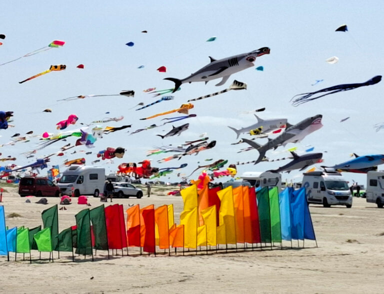 Mehr über den Artikel erfahren Aiolos-Mitglieder beim Kite Flyer´s Meeting Fanø 2025