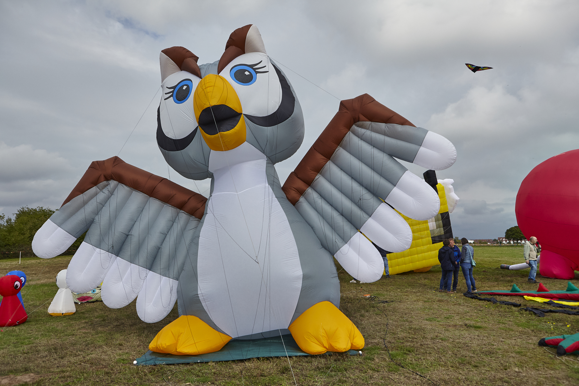 Mehr über den Artikel erfahren 34. Familiendrachenfest Rodgau